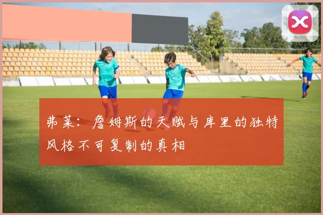 弗莱：詹姆斯的天赋与库里的独特风格不可复制的真相